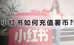 小红书如何充值薯币?
