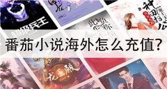 番茄小说海外怎么充值？