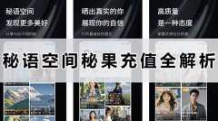 秘语空间秘果充值全解析