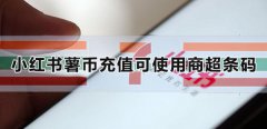 小红书薯币充值可使用商超条码