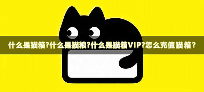 什么是猫箱?什么是猫粮?什么是猫箱VIP?怎么充值猫箱?